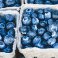 The Truth About Blueberry Supplements: Finding the Right Dosage