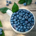 The Pros and Cons of Bilberry Vitamin Supplementation