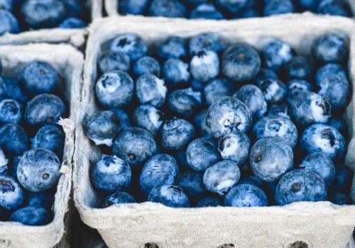 The Truth About Blueberry Supplements: Finding the Right Dosage